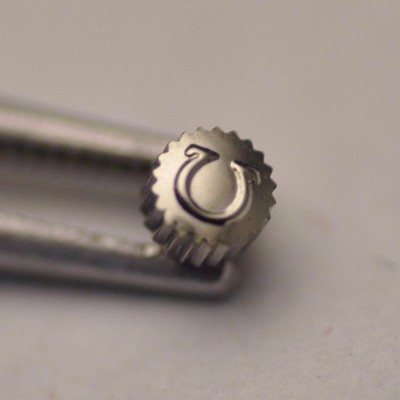 18055695881749117974