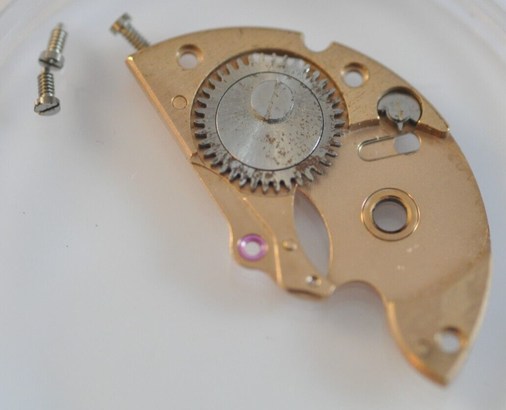 25038993471756827073