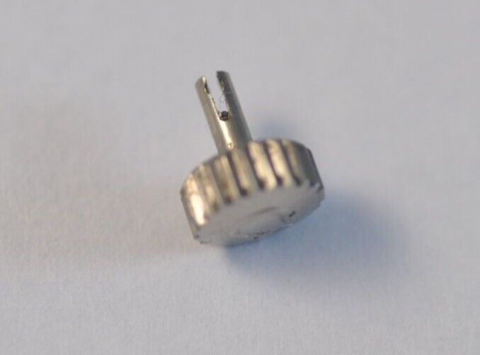 10155566001756118051