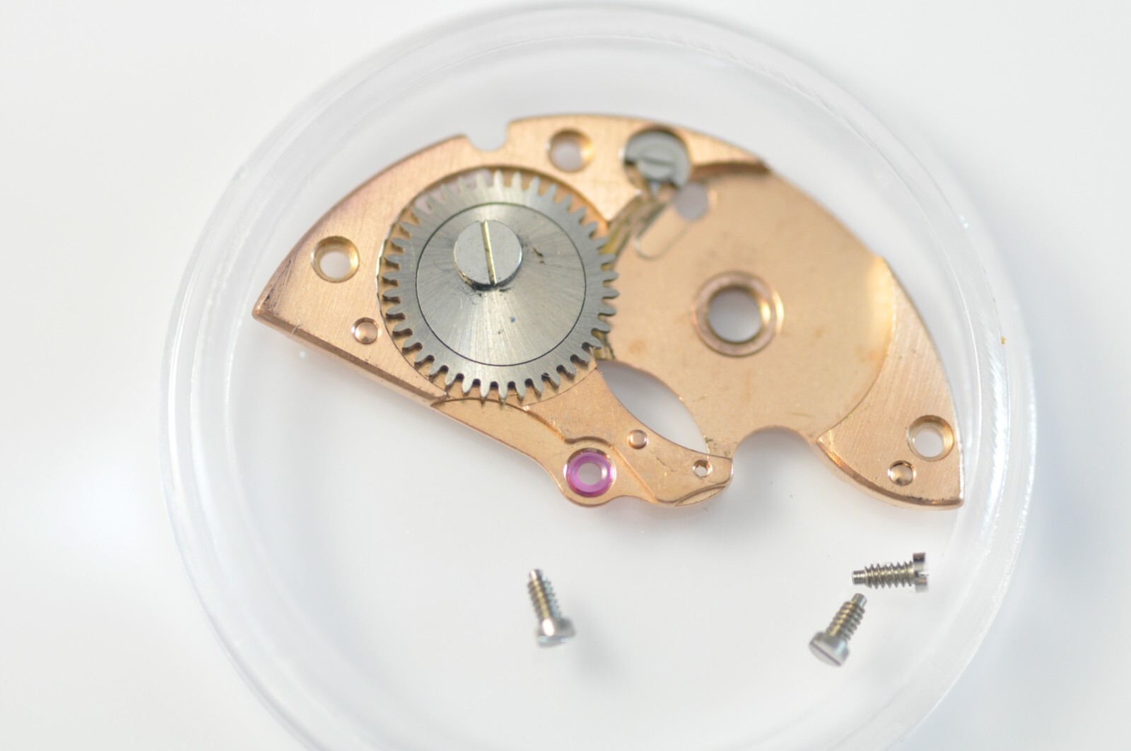 28201591201756824736