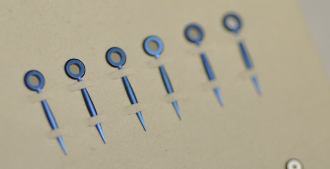 16009306161756821473