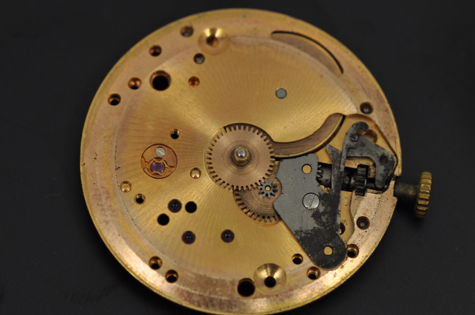 20056247141756843693