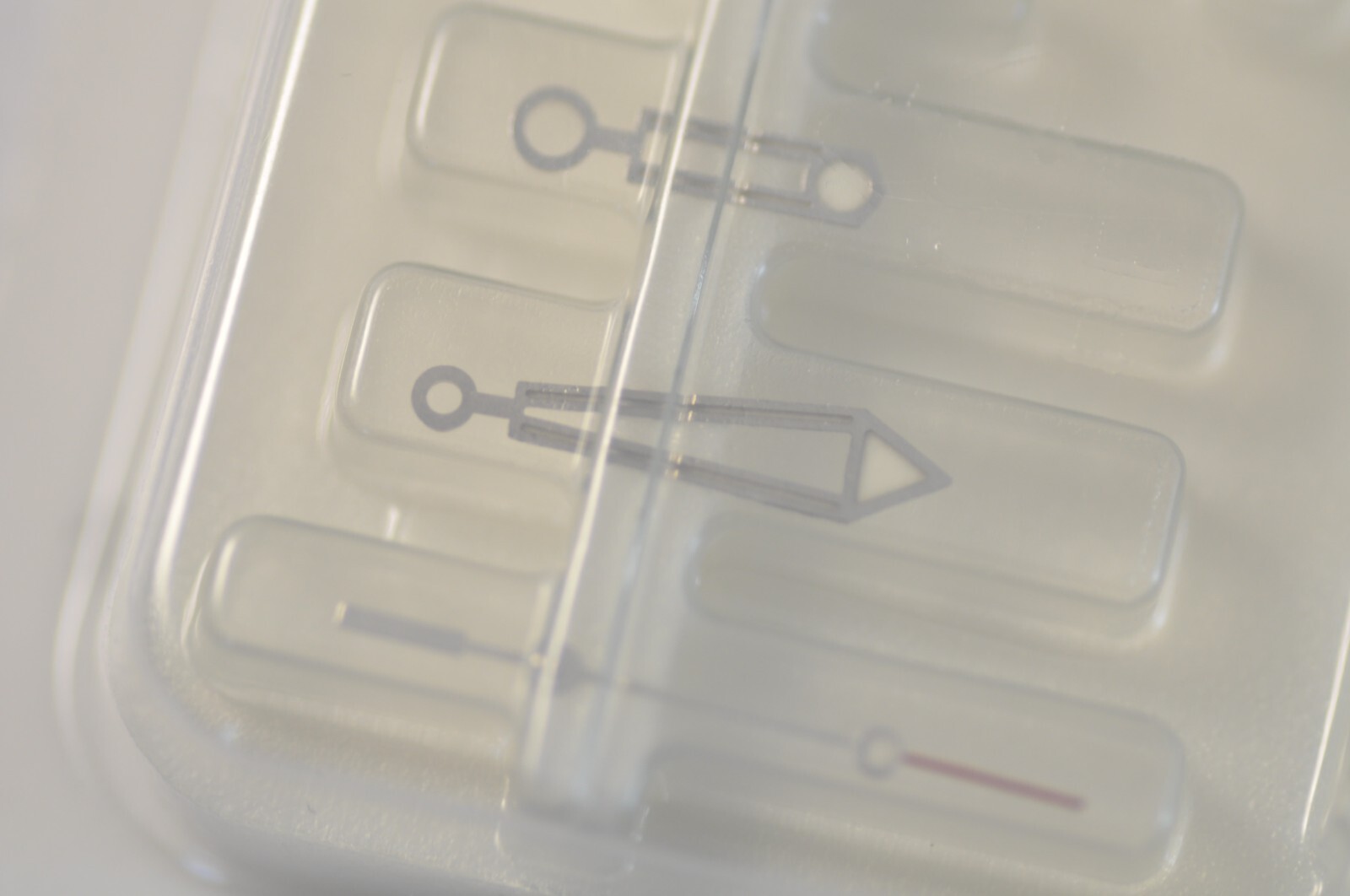 17483288461756884354