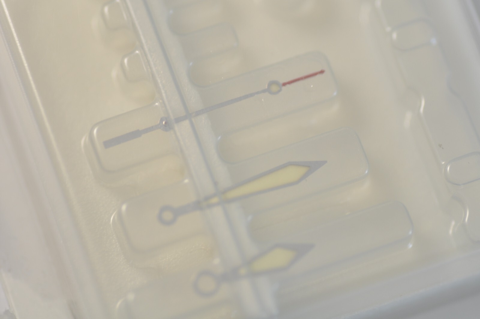 31593184351756884366