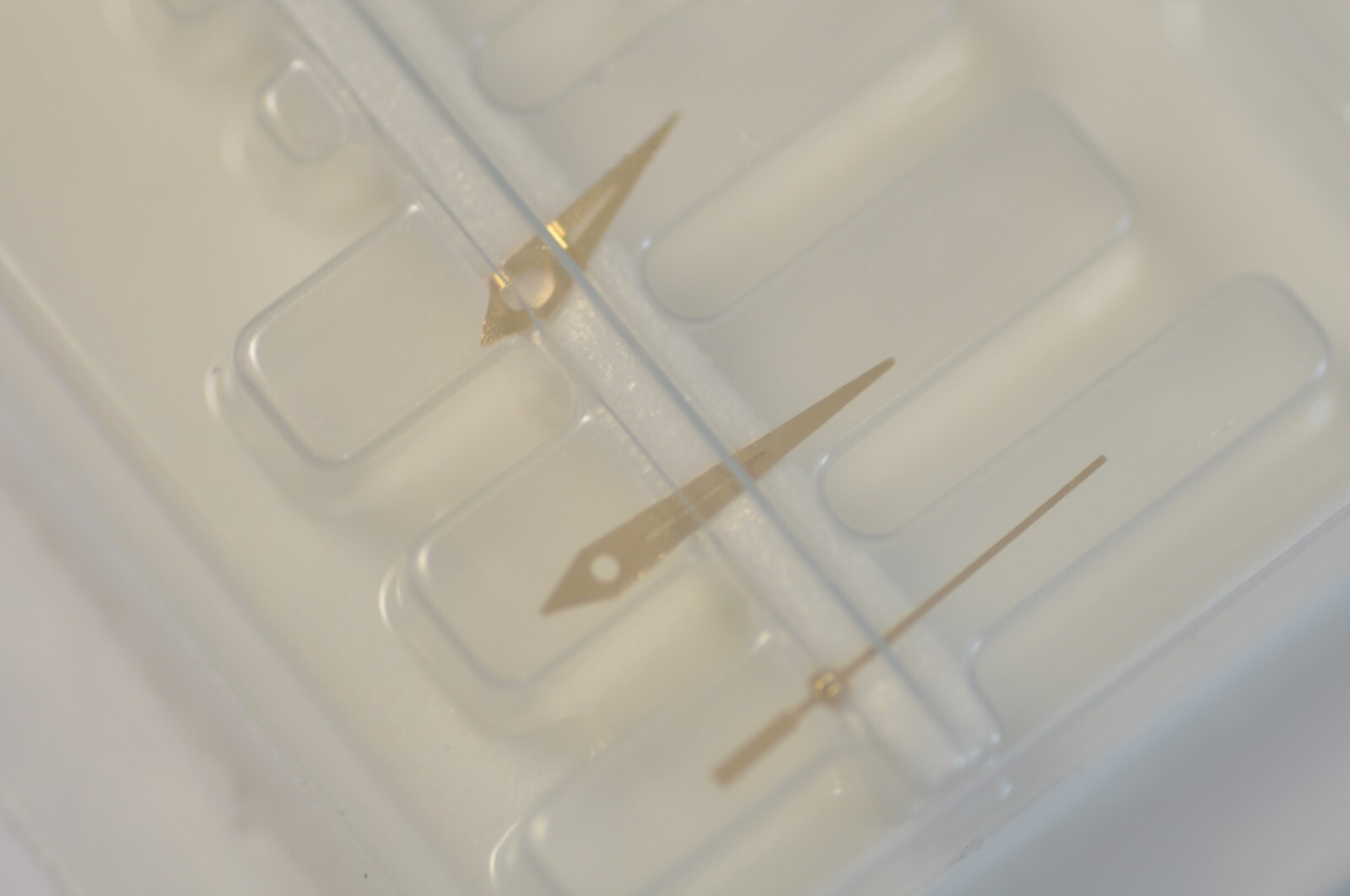 29628500151749804730