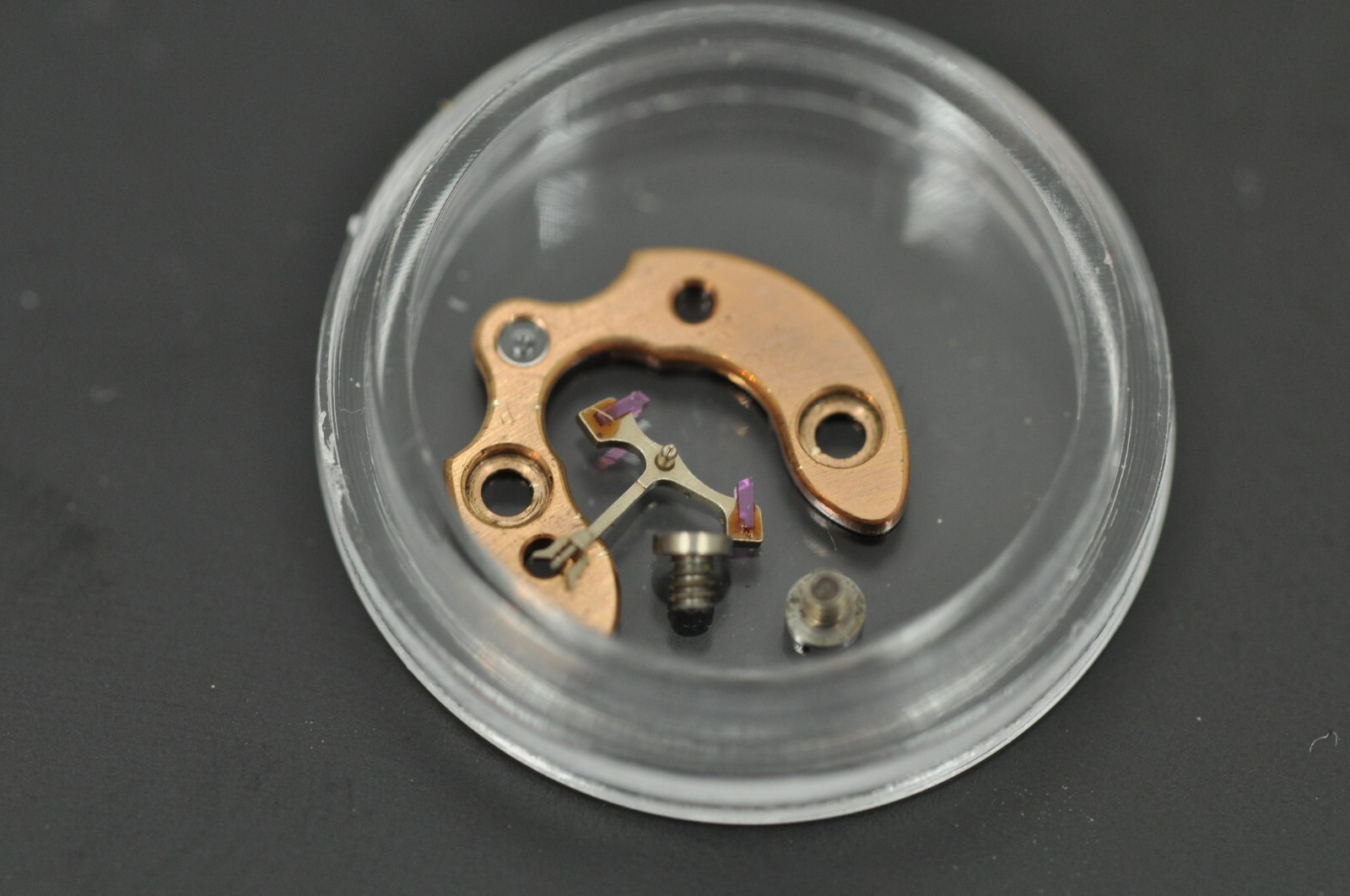 29241742321756843598