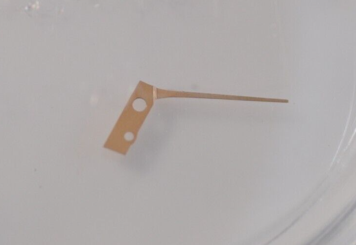 23575134051756845568