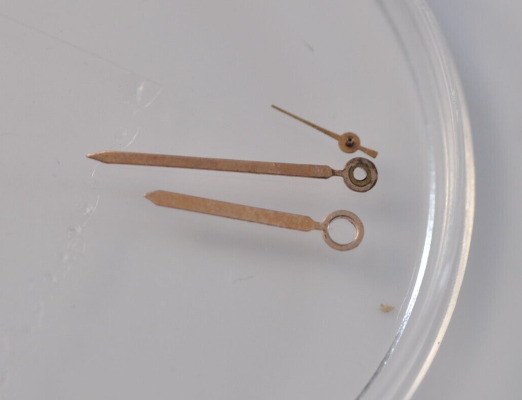 15504711781756884339