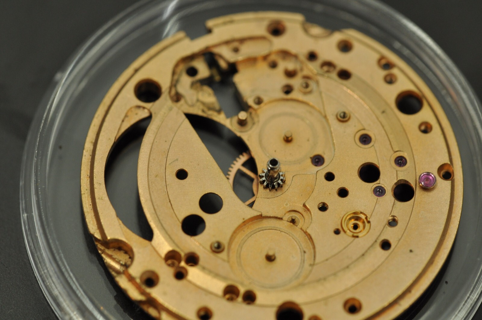 38374037401756885205