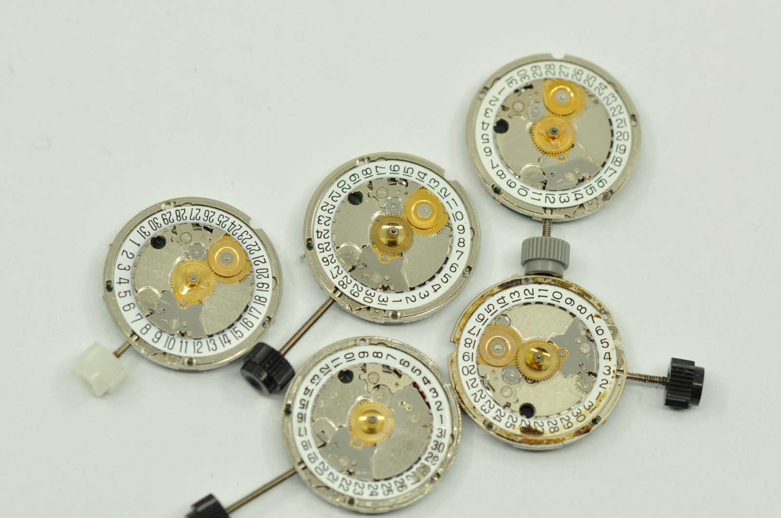 38202326501757013406