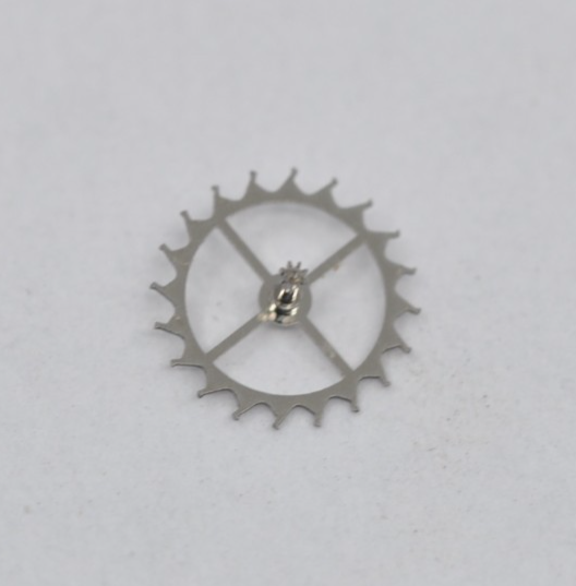 13734123761768487105